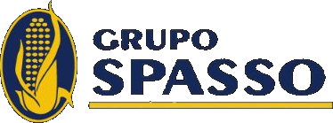 Grupo Spasso